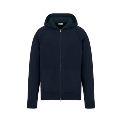 Dior Icons Hooded Sweatshirt