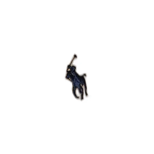 Polo Ralph Lauren Quilted Hooded Down Jacket