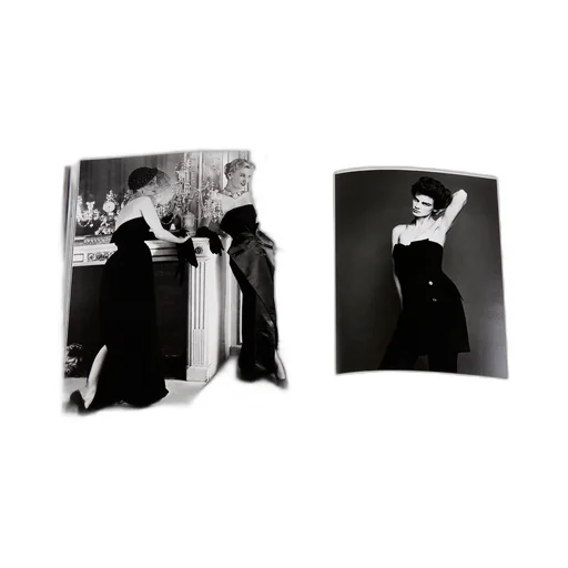 Book: Dior New Looks