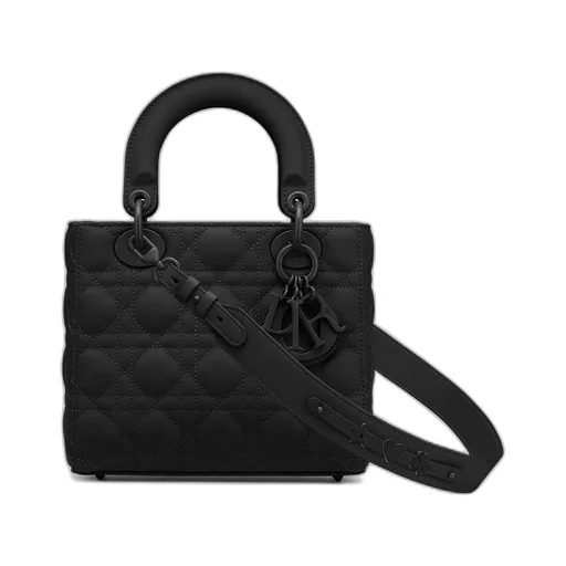 Small Lady Dior My Abcdior Bag