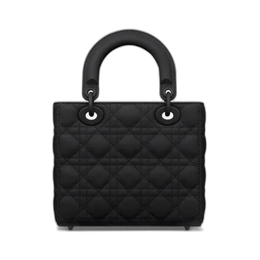 Small Lady Dior My Abcdior Bag