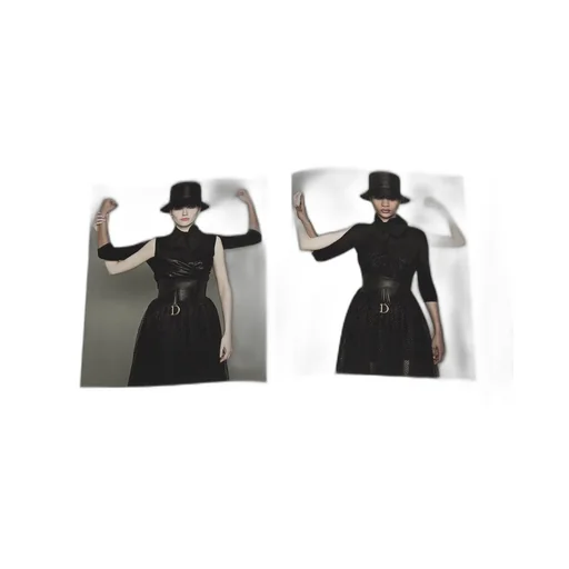 Book: Photographie, Christian Dior Par Brigitte Niedermair