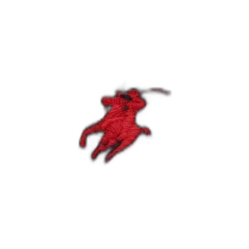 Polo Ralph Lauren Logo Embroidered Knitted Drawstring Hat