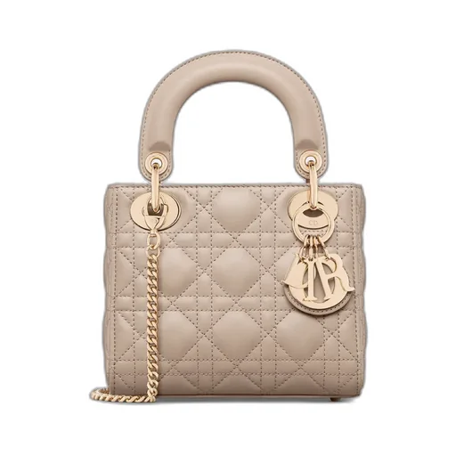 Mini Lady Dior Bag