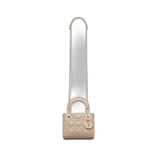 Mini Lady Dior Bag