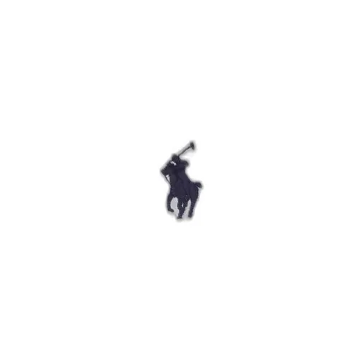Polo Ralph Lauren Logo Embroidered Polo Dress