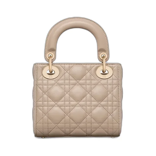 Mini Lady Dior Bag