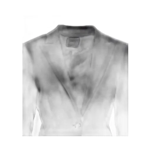 Pinko Single Breasted Tailored Blazer