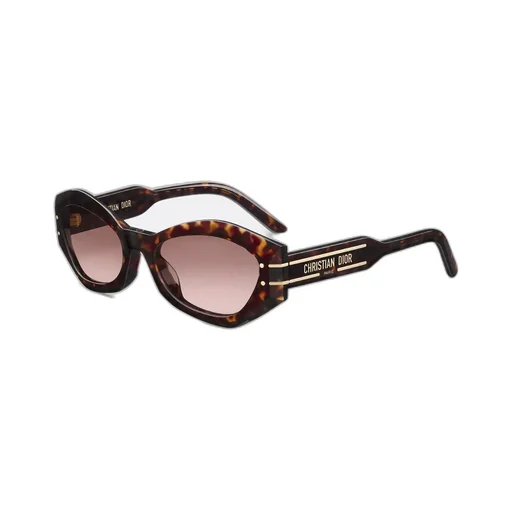 Diorsignature B1U
