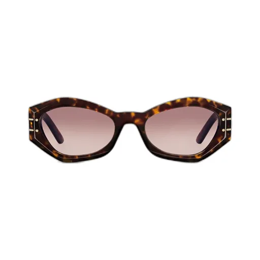 Diorsignature B1U