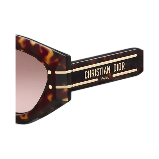 Diorsignature B1U