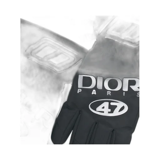 Dior And Descente Ski Gloves