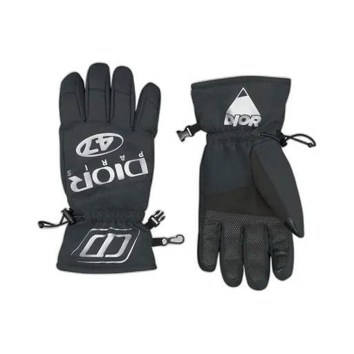 Dior And Descente Ski Gloves