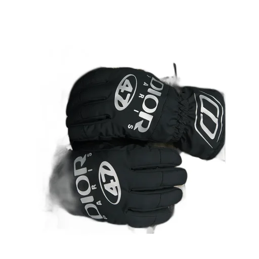 Dior And Descente Ski Gloves