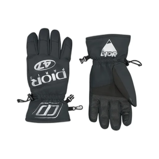 Dior And Descente Ski Gloves
