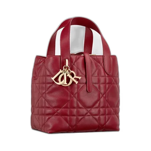 Small Dior Toujours Vertical Tote Bag