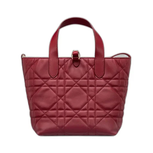 Small Dior Toujours Vertical Tote Bag