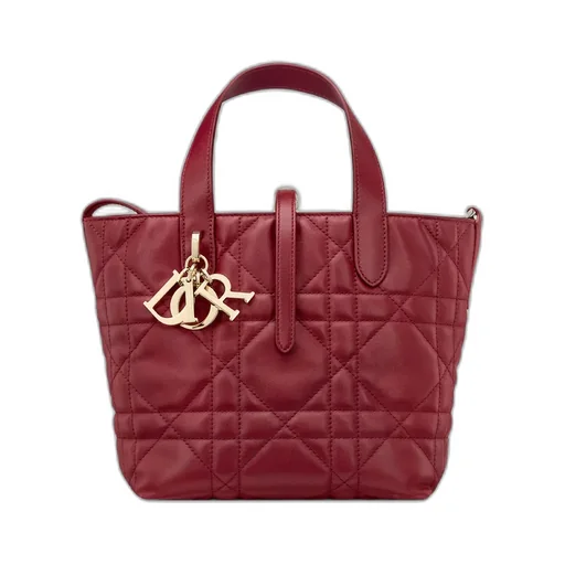 Small Dior Toujours Vertical Tote Bag