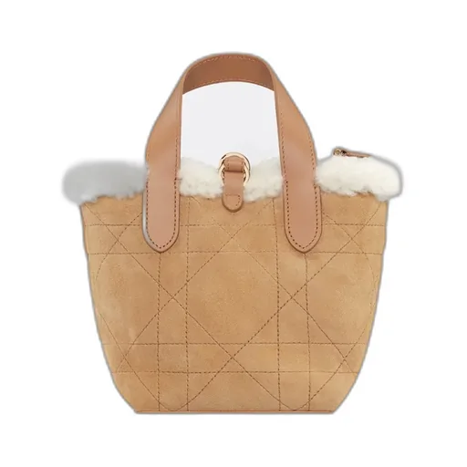 Dioralps Dior Toujours Vertical Nano Tote Bag