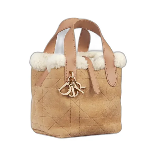 Dioralps Dior Toujours Vertical Nano Tote Bag