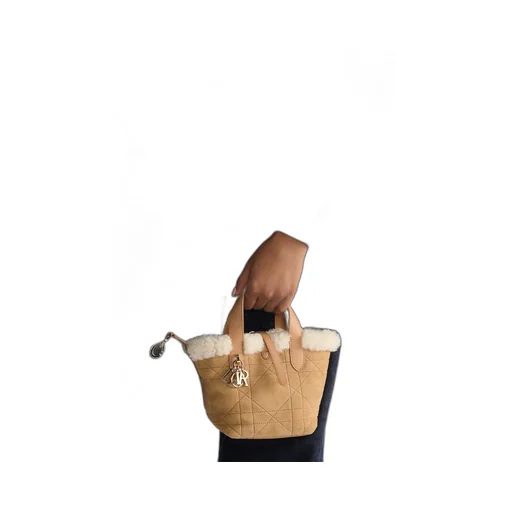 Dioralps Dior Toujours Vertical Nano Tote Bag