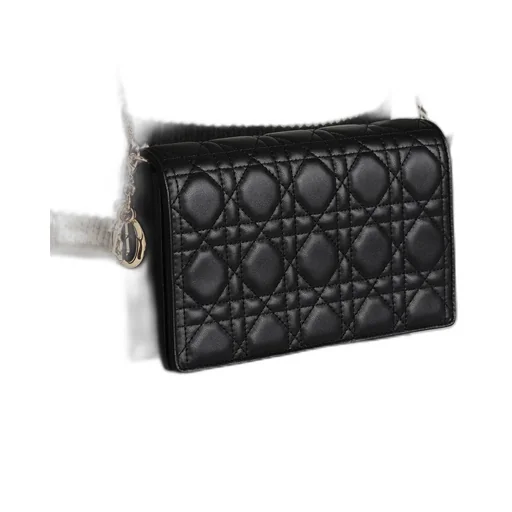 Lady Dior Pouch