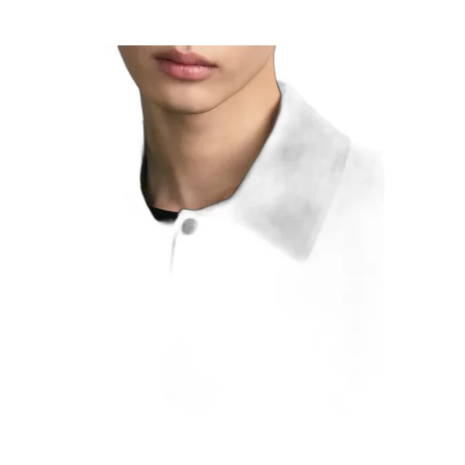 Dior Oblique Blouson Jacket