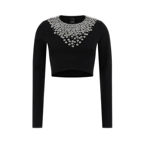 Pinko Big Jim Sweater