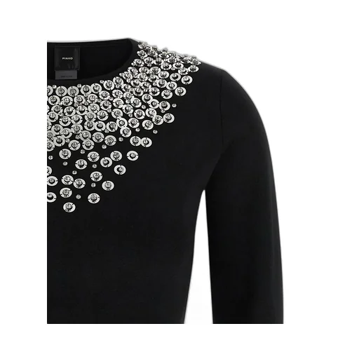 Pinko Big Jim Sweater