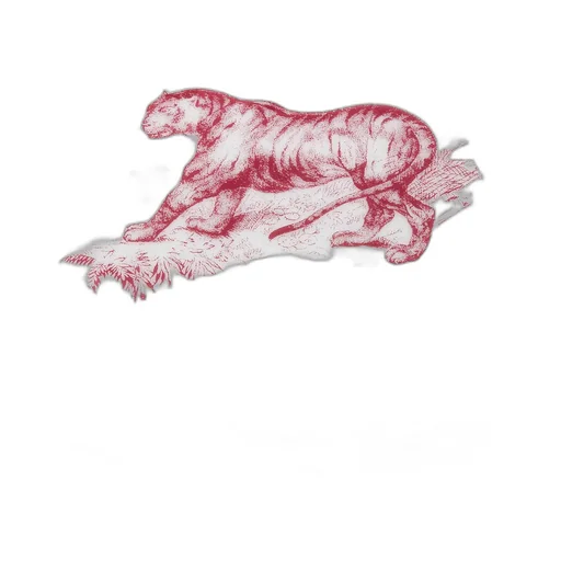 Noodle Bowl