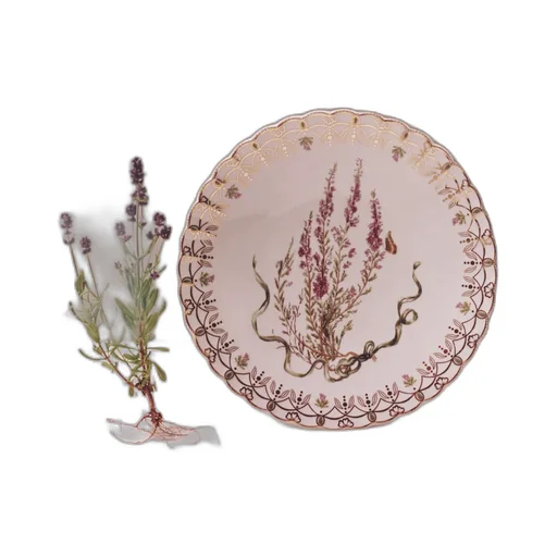 Dinner Plate