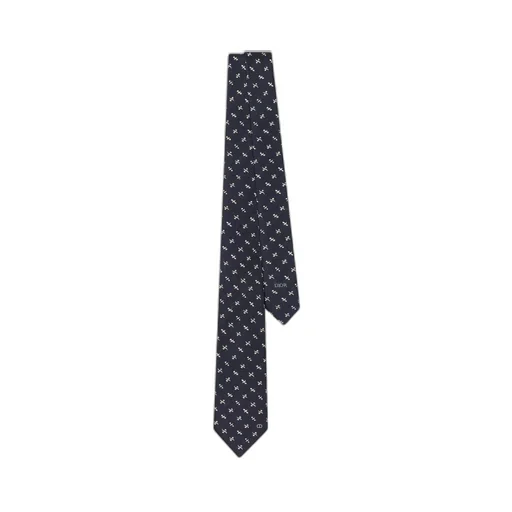 Monsieur Dior Tie