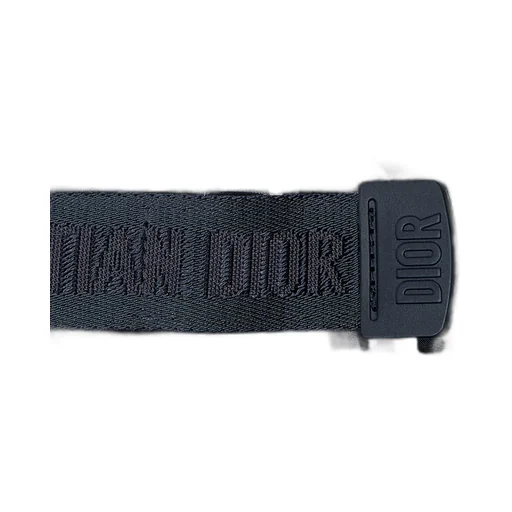 Dioralps Dior Oblique Ski Gloves