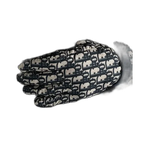 Dioralps Dior Oblique Ski Gloves