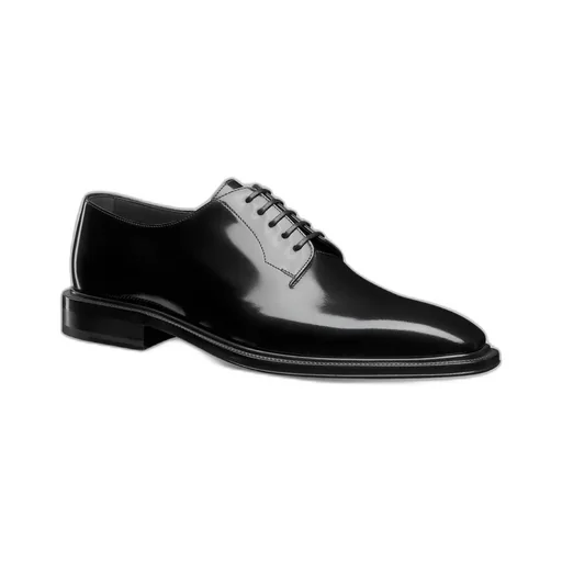 Dior PalmarÈS Derby Shoe