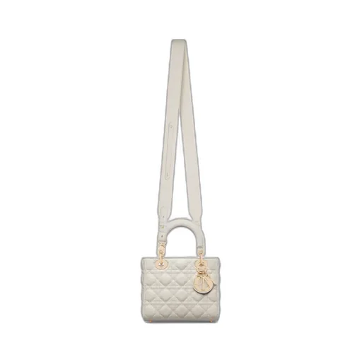 Small Lady Dior My Abcdior Bag