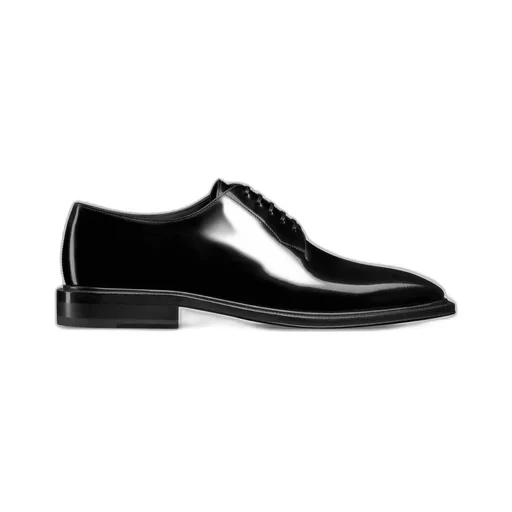 Dior PalmarÈS Derby Shoe