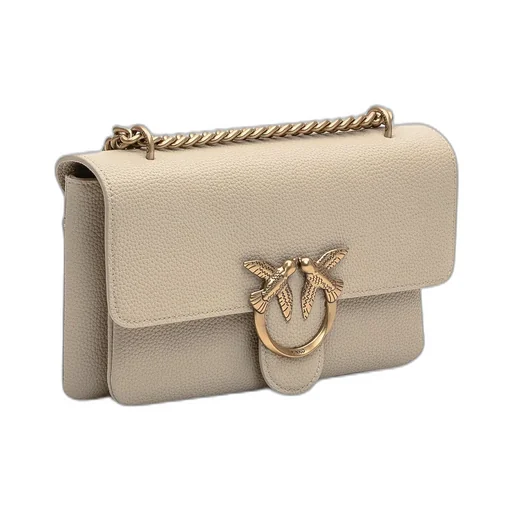 Pinko Logo Plaque Chained Shoulder Bag