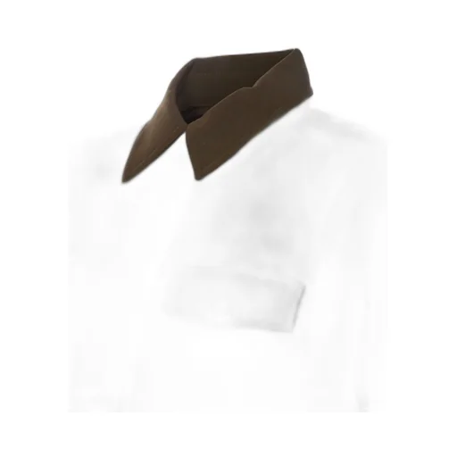 Pinko Collared Long-Sleeved Shirt