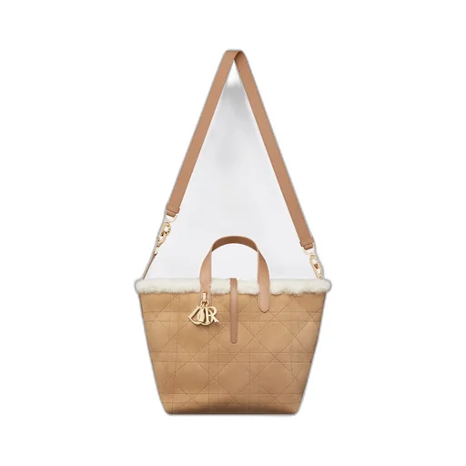 Dioralps Medium Dior Toujours Vertical Tote Bag
