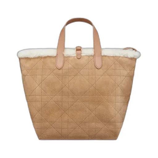 Dioralps Medium Dior Toujours Vertical Tote Bag
