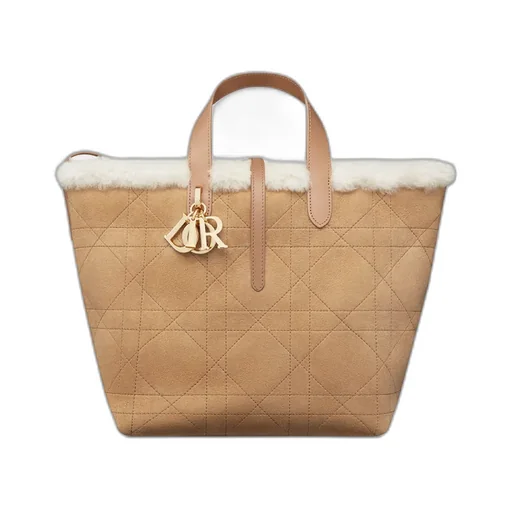 Dioralps Medium Dior Toujours Vertical Tote Bag