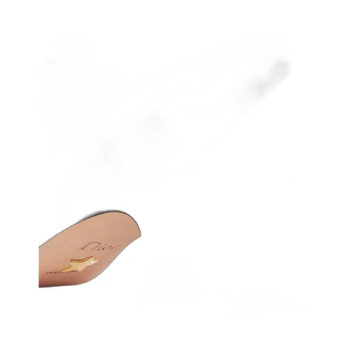 Dior ChÉRie Slingback Pump
