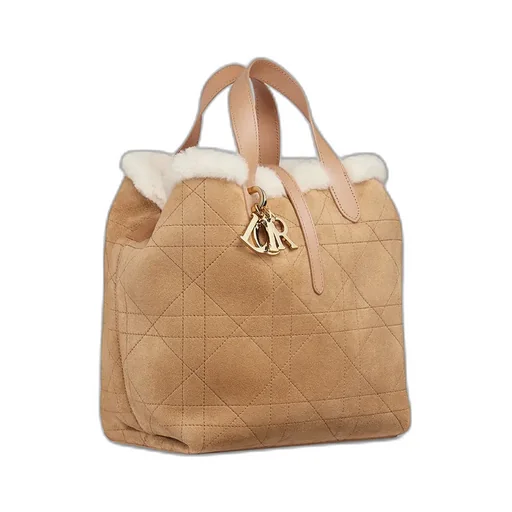 Dioralps Medium Dior Toujours Vertical Tote Bag