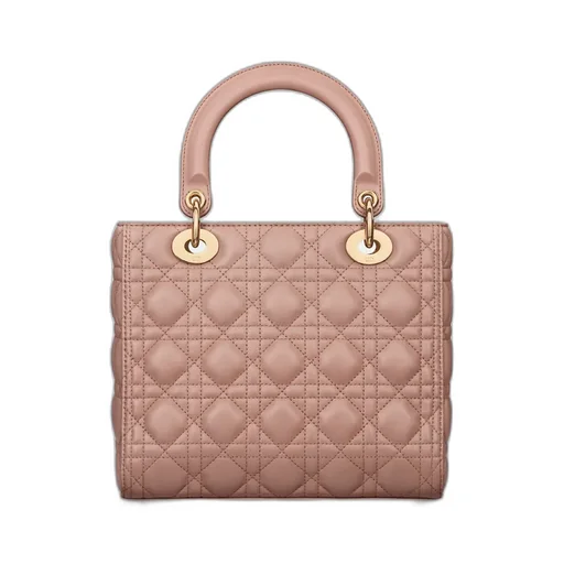 Medium Lady Dior Bag