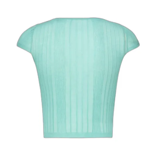 Pinko Semi-Sheer Ribbed Top