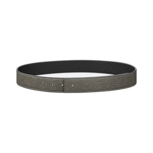 Reversible Belt Strap
