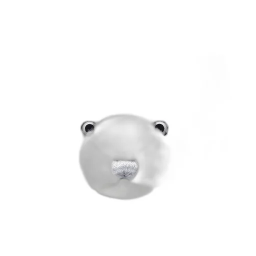 Teddy Bear Newborn Gift Set