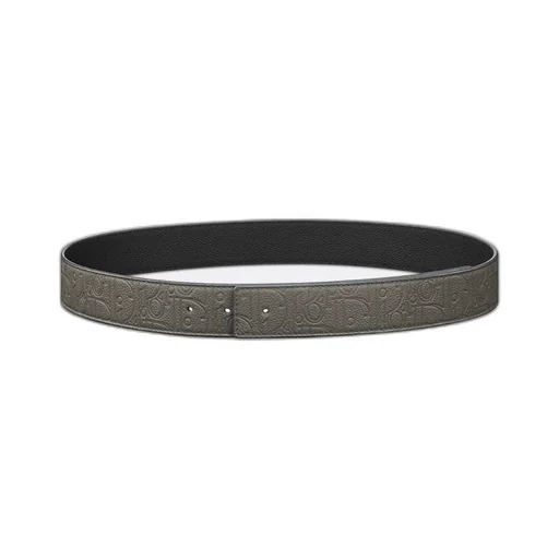 Reversible Belt Strap