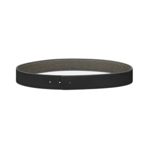 Reversible Belt Strap
